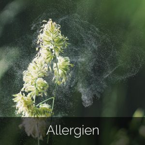 Allergie